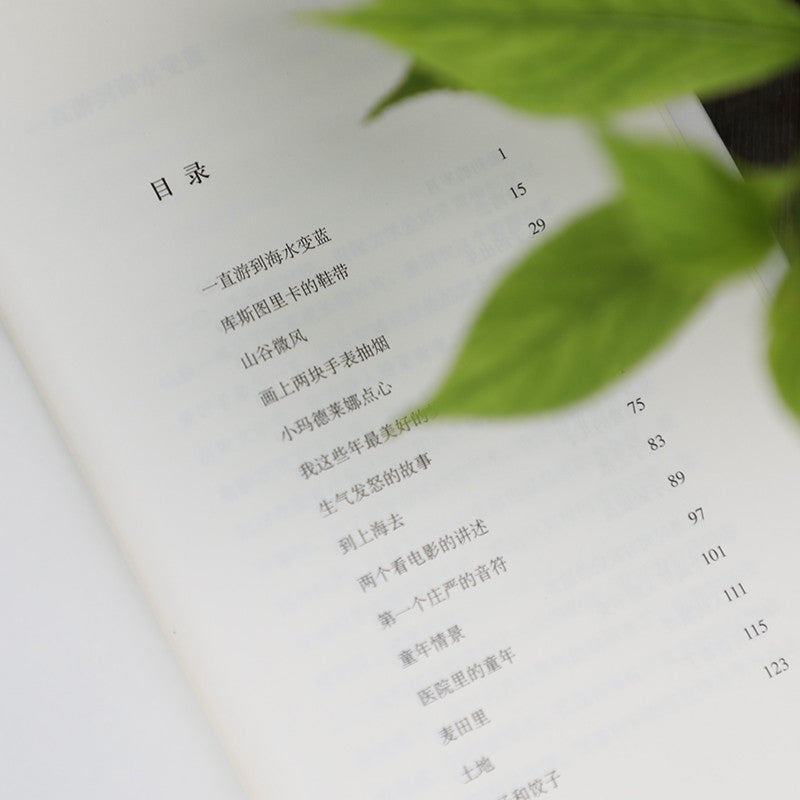 【有风书店/正版现货】余华《山谷微风》2024年最新散文集(收录《一直游到海水变蓝》等12篇新作)|你将像山上的风一样自由