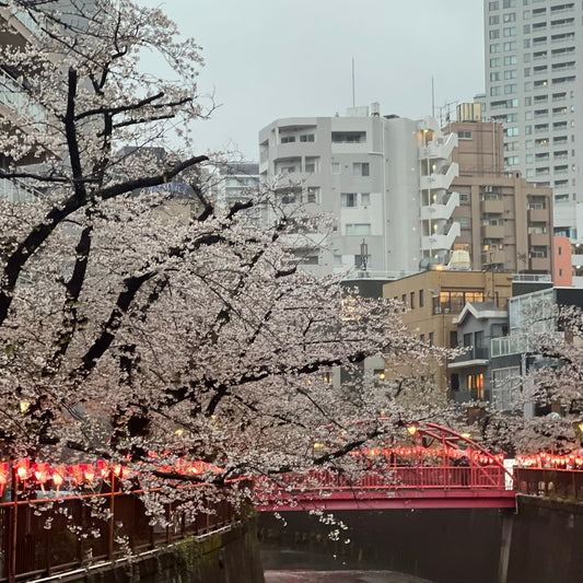 春天来了，人难免会长出一点上进心。