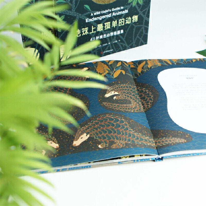 【有风书店/正版预购】[英]米莉·玛洛塔《地球上最孤单的动物》43种濒危动物插画集｜76亿的地球人能否为它们留一方栖息之地？