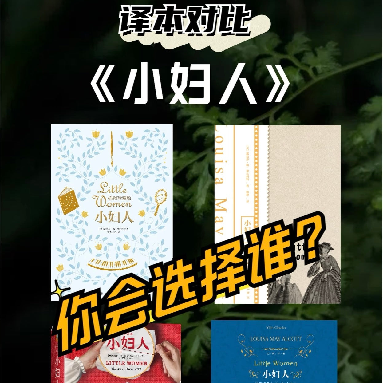 【有风书店/正版现货】路易莎·梅·奥尔科特《小妇人》梅静译｜女生们的世界不只有爱情