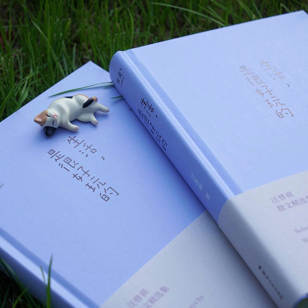 【有风书店/正版预购】汪曾祺《生活是很好玩的》｜发现生活之美 做个有趣之人