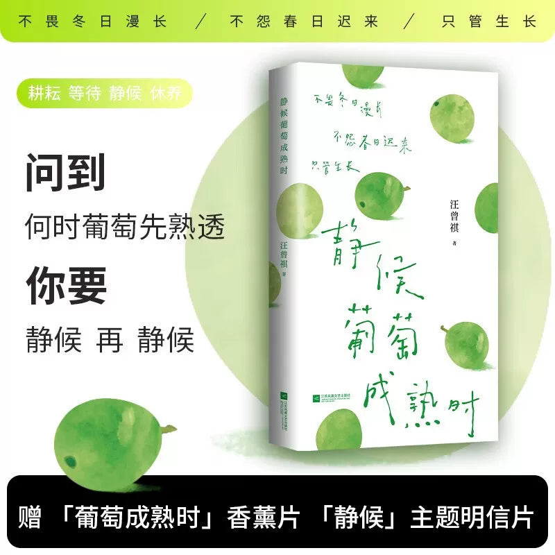 [卖书] 汪曾祺《静候葡萄成熟时》