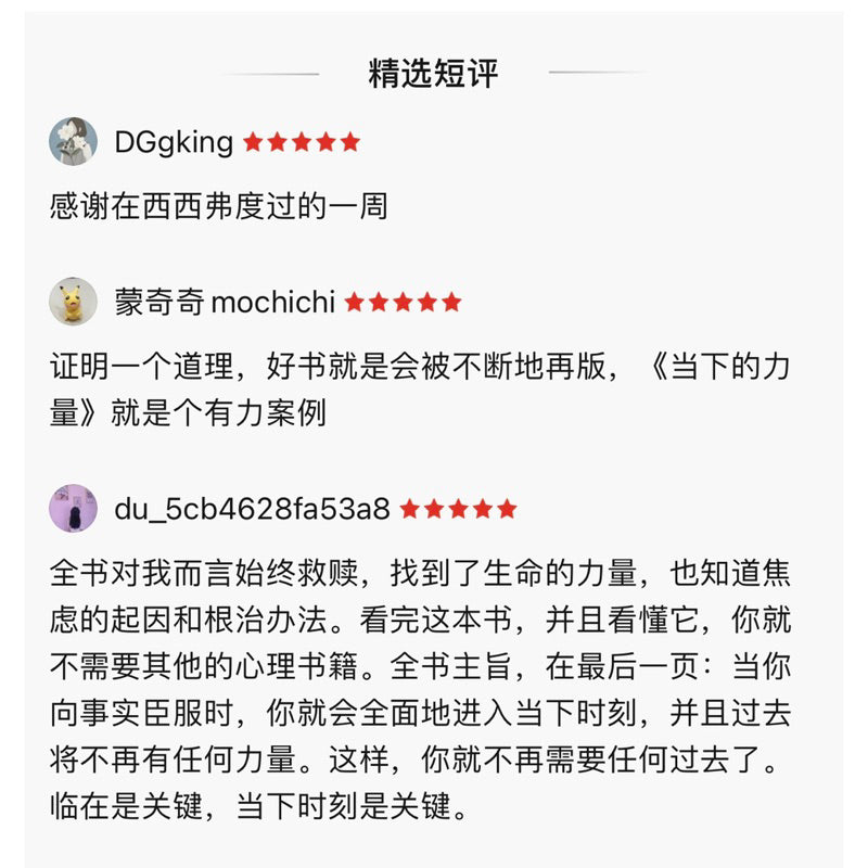 【有风书店/正版现货】[德]埃克哈特•托利《当下的力量》实践手册（白金版）｜同我的痛苦之身和解（A Guide to Spiritual Enlightenment）