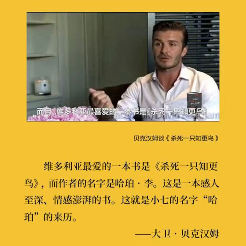 【有风书店/正版现货】[美]哈珀·李《杀死一只知更鸟》｜愿你能永远正视他们的眼睛