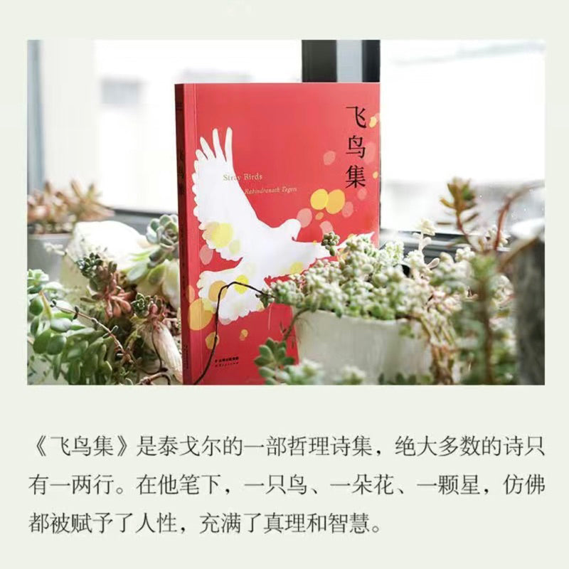 【有风书店/官方正版】[印]泰戈尔《飞鸟集》《新月集》高分译本｜“我们热爱，我们便存在。”