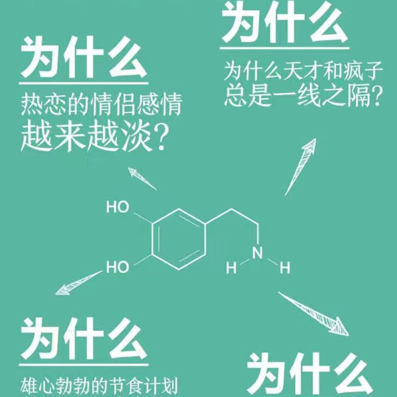 【有风书店/正版现货】[美]丹尼尔《贪婪的多巴胺》｜有一种分子，掌控着整个人类行为的故事