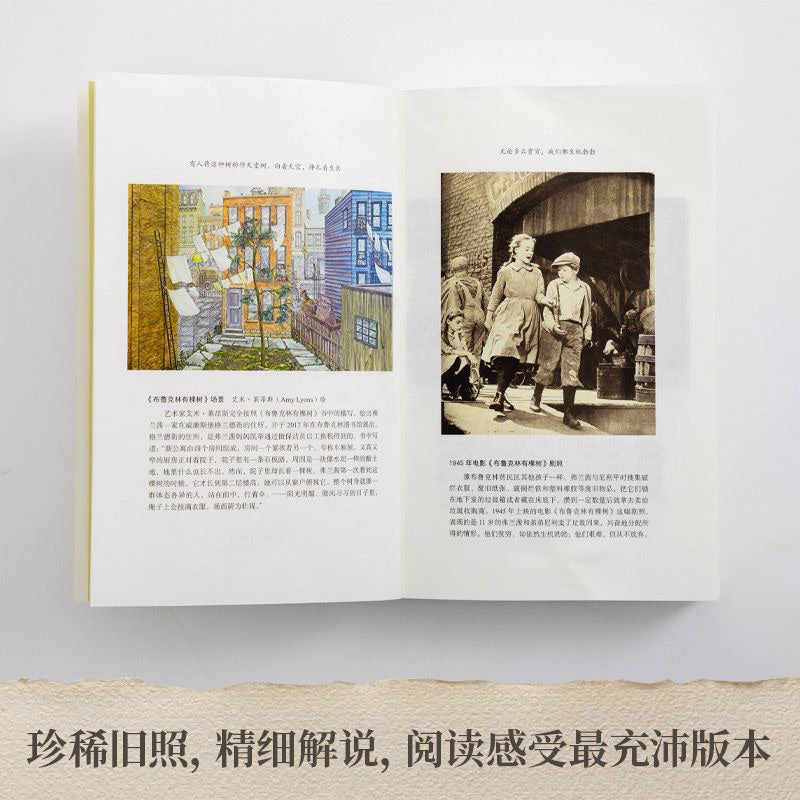 【有风书店/正版现货】[美]贝蒂·史密斯《布鲁克林有棵树》冯瑞贞译（80周年名家全译本）｜“无论多么贫穷，我们都生机勃勃。”