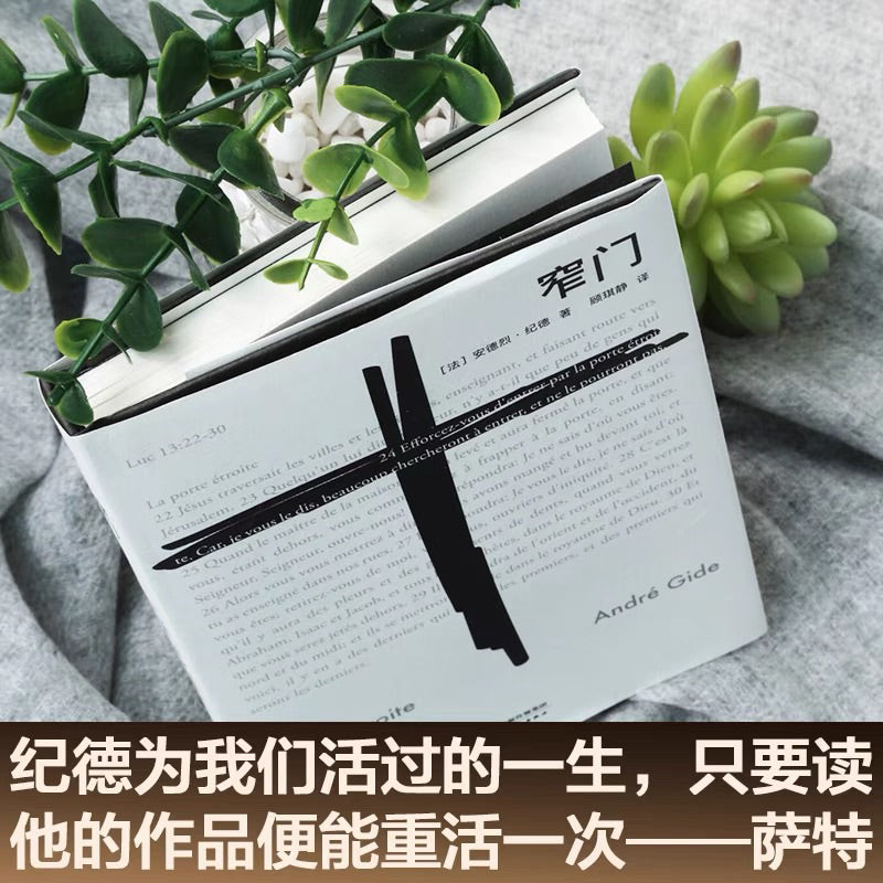 【有风书店/正版现货】[法] 安德烈·纪德《窄门》顾琪静 译｜爱情最美好的时刻，不是在说“我爱你”