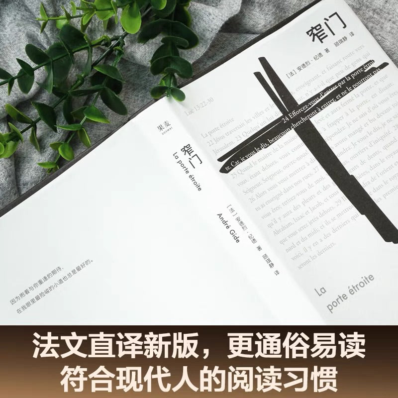 【有风书店/正版现货】[法] 安德烈·纪德《窄门》顾琪静 译｜爱情最美好的时刻，不是在说“我爱你”