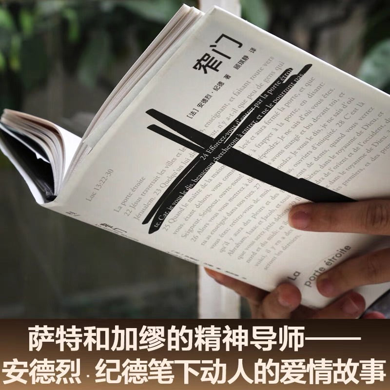 【有风书店/正版现货】[法] 安德烈·纪德《窄门》顾琪静 译｜爱情最美好的时刻，不是在说“我爱你”