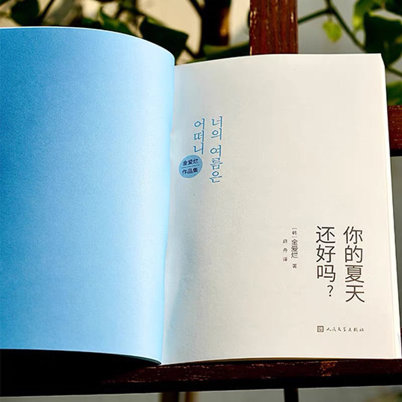 【有风书店/正版预购】金爱烂《你的夏天还好吗？》｜世界好大，而我好小，三十岁死亡刚刚好。
