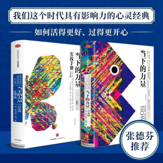 【有风书店/正版现货】[德]埃克哈特•托利《当下的力量》实践手册（白金版）｜同我的痛苦之身和解（A Guide to Spiritual Enlightenment）