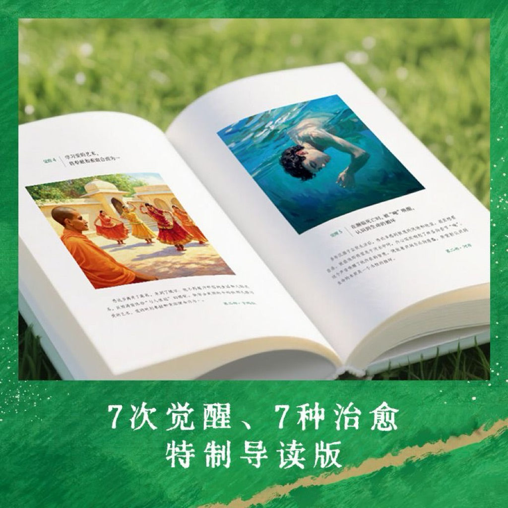 【有风书店/正版现货】[德]赫尔曼·黑塞《悉达多》2025全新修订译本（特制插图导读版） 7次觉醒7种治愈 杨武能 / 巴蜀译翁｜写给一代代青年的心灵疗愈圣典 值得反复阅读的灵魂智慧之书