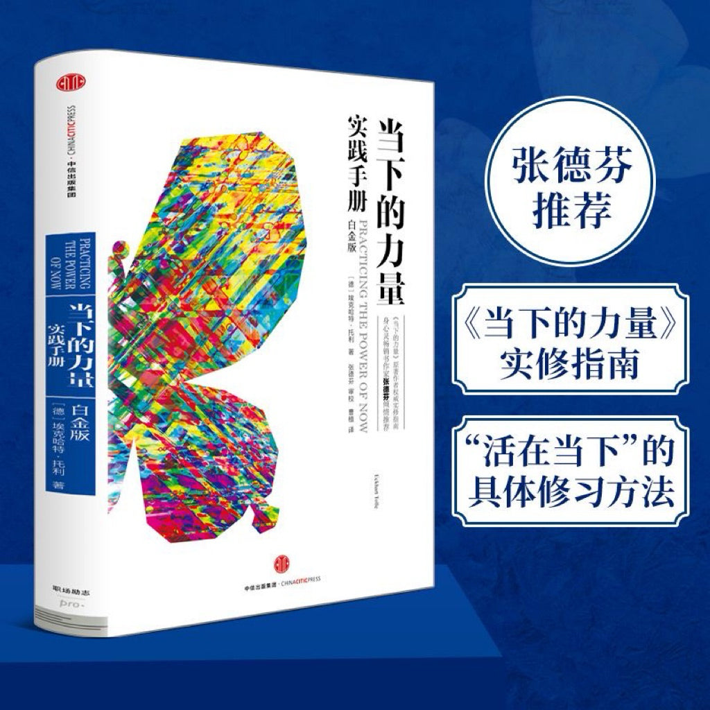 【有风书店/正版现货】[德]埃克哈特•托利《当下的力量》实践手册（白金版）｜同我的痛苦之身和解（A Guide to Spiritual Enlightenment）