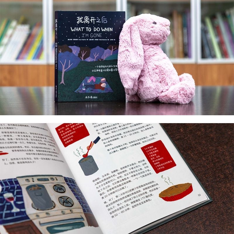 【有风书店/官方正版】苏西•霍普金斯《我离开之后》泰勒·费德尔《你离开之后》｜一个母亲给女儿的人生指南，以及那些来不及说的爱与牵挂/一个女儿失去母亲后的生存旅程