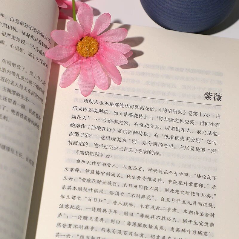 【有风书店/正版预购】汪曾祺《人间草木》精装典藏｜各地风土人情旅行见闻 散文随笔 当代小品 文学小说书籍