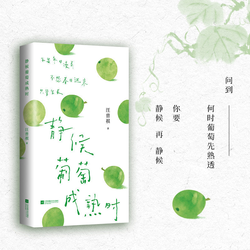 【有风书店/官方正版】汪曾祺《静候葡萄成熟时》《吃得苦瓜过半世》《且待绿意满树梢》散文精选口碑随笔力作 ｜写尽人间烟火与草木情深｜文坛大家的生活散文精选 文字温润治愈｜人生忽如寄