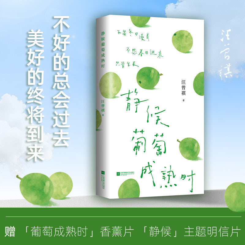 【有风书店/官方正版】汪曾祺《静候葡萄成熟时》《吃得苦瓜过半世》《且待绿意满树梢》散文精选口碑随笔力作 ｜写尽人间烟火与草木情深｜文坛大家的生活散文精选 文字温润治愈｜人生忽如寄